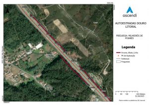 Edital para Abate de Árvores - DL | Ascendi IGI - Mapa 2
