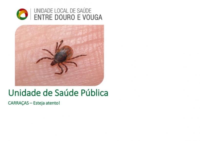 Programa REVIVE &ndash; Rede de Vigil&acirc;ncia de Vetores, um programa de &acirc;mbito nacional que tem como objetivo a monitoriza&ccedil;&atilde;o de vetores (mosquitos, fleb&oacute;tomos e carra&ccedil;as),