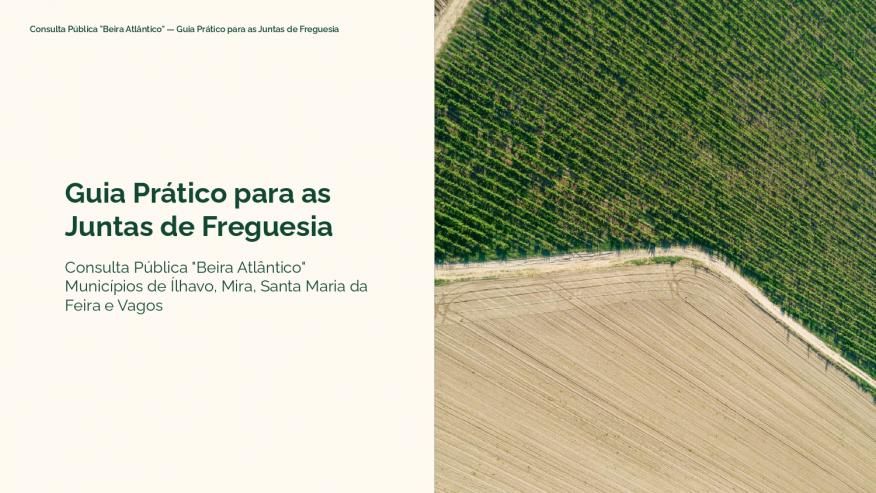GUIA PR&Aacute;TICO - CONSULTA P&Uacute;BLICA 'BEIRA ATL&Acirc;NTICO' (BUPi)