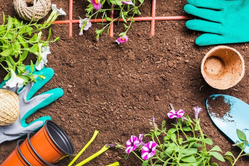 Curso de Operador de Jardinagem B3