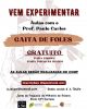 Aulas Gratuitas - Gaita de Foles